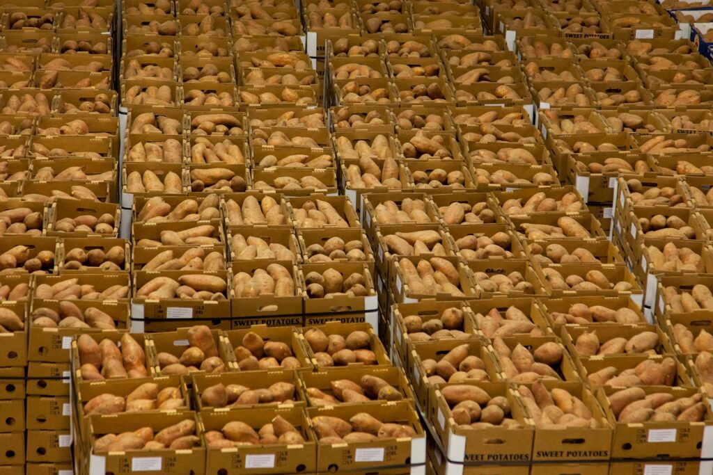 sweet-potato-boxes